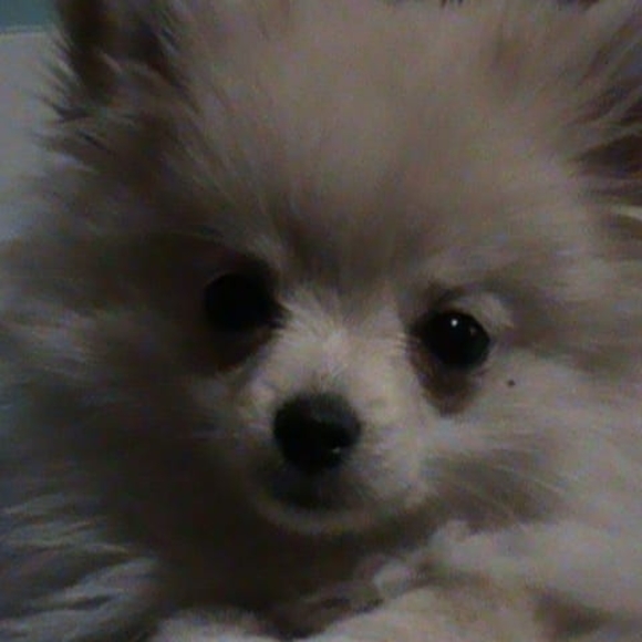 Meet your Posher, Kathy - Picture 1 of 1